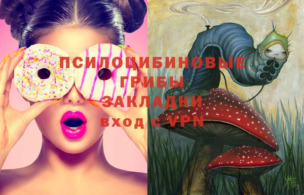 спайс Елабуга