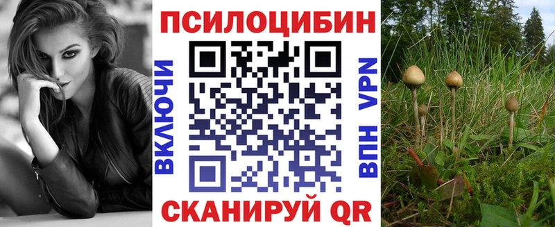 наркота  Северо-Курильск  Галлюциногенные грибы мицелий 